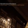 Night Bird - Thoughts on Chet Baker