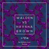 Walden & Havana Brown