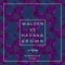 No Ordinary Love (Crazibiza Remix) - Walden & Havana Brown lyrics