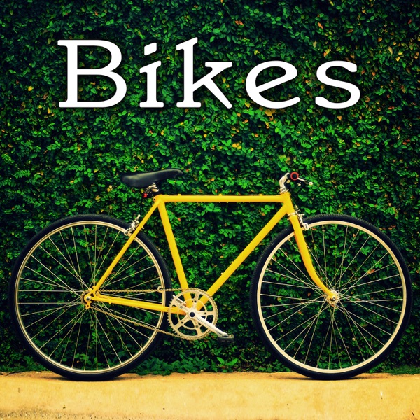 Bmx Bicycle on Board: Riding on Wood Track with Some Lighter Jumps