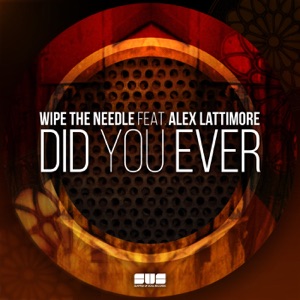 Did You Ever - Single