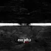 Esne Beltza - Hogei