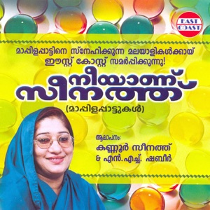 Neeyanu Seenathu