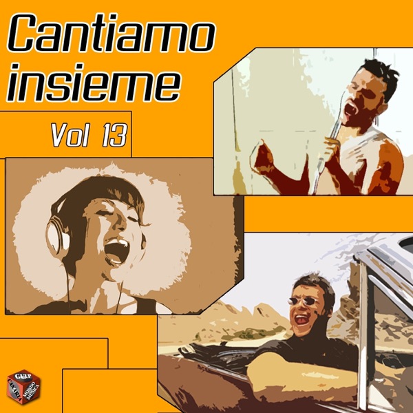 Cantiamo insieme, Vol. 13