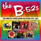 Theme for a Nude Beach - The B-52's lyrics
