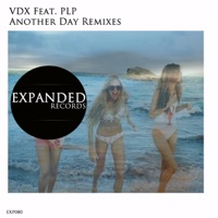 Another Day Remixes - EP - VDX & PLP