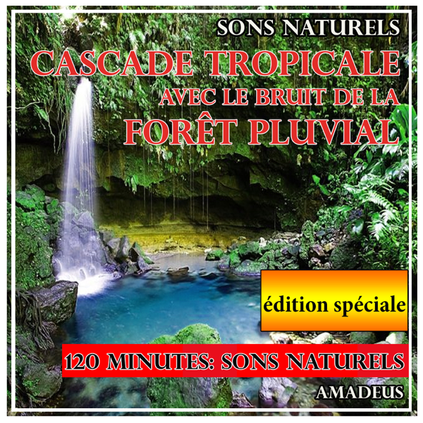 Download Amadeus - Cascade tropicale avec le bruit de la forêt pluvial: sons  naturels: édition spéciale (2014) Album – Telegraph