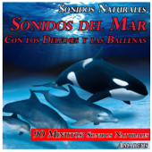 Sonidos del Mar Con los Delfines y las Ballenas: Sonidos Naturales - Amadeus