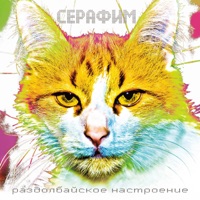Раздолбайское настроение - Серафим