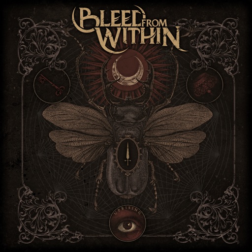 Album artwork