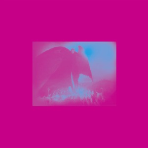 Live At Robert Johnson - Lifesaver Compilation 2 Extension - Single