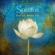 Bhakti Heart - David Wahler