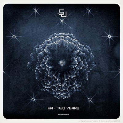 VA: Two Years of Secret Jams Records