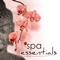 Spa Essentials - Sylph Enigma lyrics