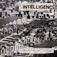 The Intelligence - Telephone Wires