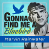 Gonna Find Me a Bluebird (Rerecorded) - Marvin Rainwater