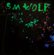 Neon Debris - S.M. Wolf