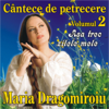 Asa trec zilele mele (Cantece de petrecere vol. 2) - Maria Dragomiroiu