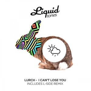 I Can't Lose You - Single