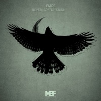 Never gonna know - Single - Emde