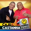 CAJU E CASTANHA
