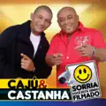 Os tipos de cachaceiros