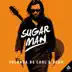 Sugar Man song reviews