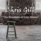 The Mountain of Gros Morne - Chris Gill lyrics