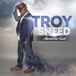 Troy Sneed - Living For You
