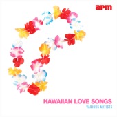 The Hawaiian Wedding Song artwork