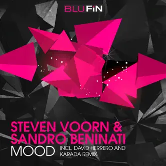 Mood (Remixes) - Single by Steven Voorn & Sandro Beninati album reviews, ratings, credits