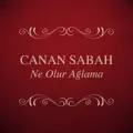 Gecenin Bir Yarısı