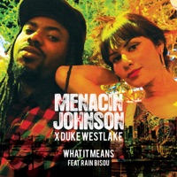 What It Means (feat. Rain Bisou) - Single - Menacin Johnson & Duke WestLake