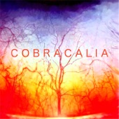 Cobracalia - Simpatico