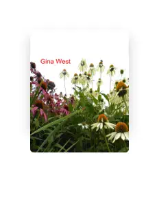 Ouça Gina West, assista a videoclipes, leia a biografia, veja as datas das turnês e mais!