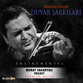 Babadan Oğula Duvar Şarkıları (Enstrümantal) - Various Artists