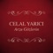 Heval - Celal Yarici lyrics