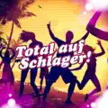 Viele dieser Nächte