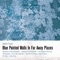 Salsipuedes - Adam Topol lyrics