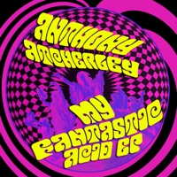 My Fantastic Acid - EP - Anthony Atcherley