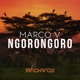 Ngorongoro Single
