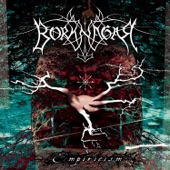 Borknagar - Liberated