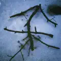 Winter Falls