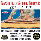 Nashville Steel Guitar: 20 Greatest - Various Artists