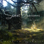 Sweet Diversions - Caroline Schmitt