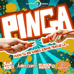 Pinga (feat. Sito Rocks) - Single - Sak Noel