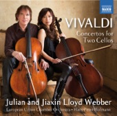 Cello Concerto in E Minor, RV 409: II. Allegro artwork