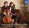 Cello Concerto in E Minor, RV 409: II. Allegro artwork