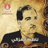 Fooq Al Nakhal (studio) song art