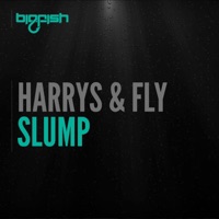 Slump - Single - Harrys & Fly
